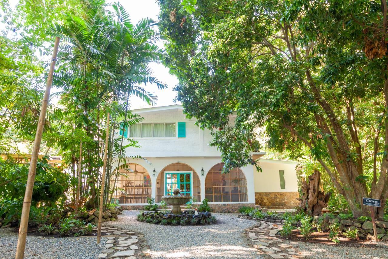 Angeli Gardens Boutique Hotel San Pedro Sula Exteriér fotografie