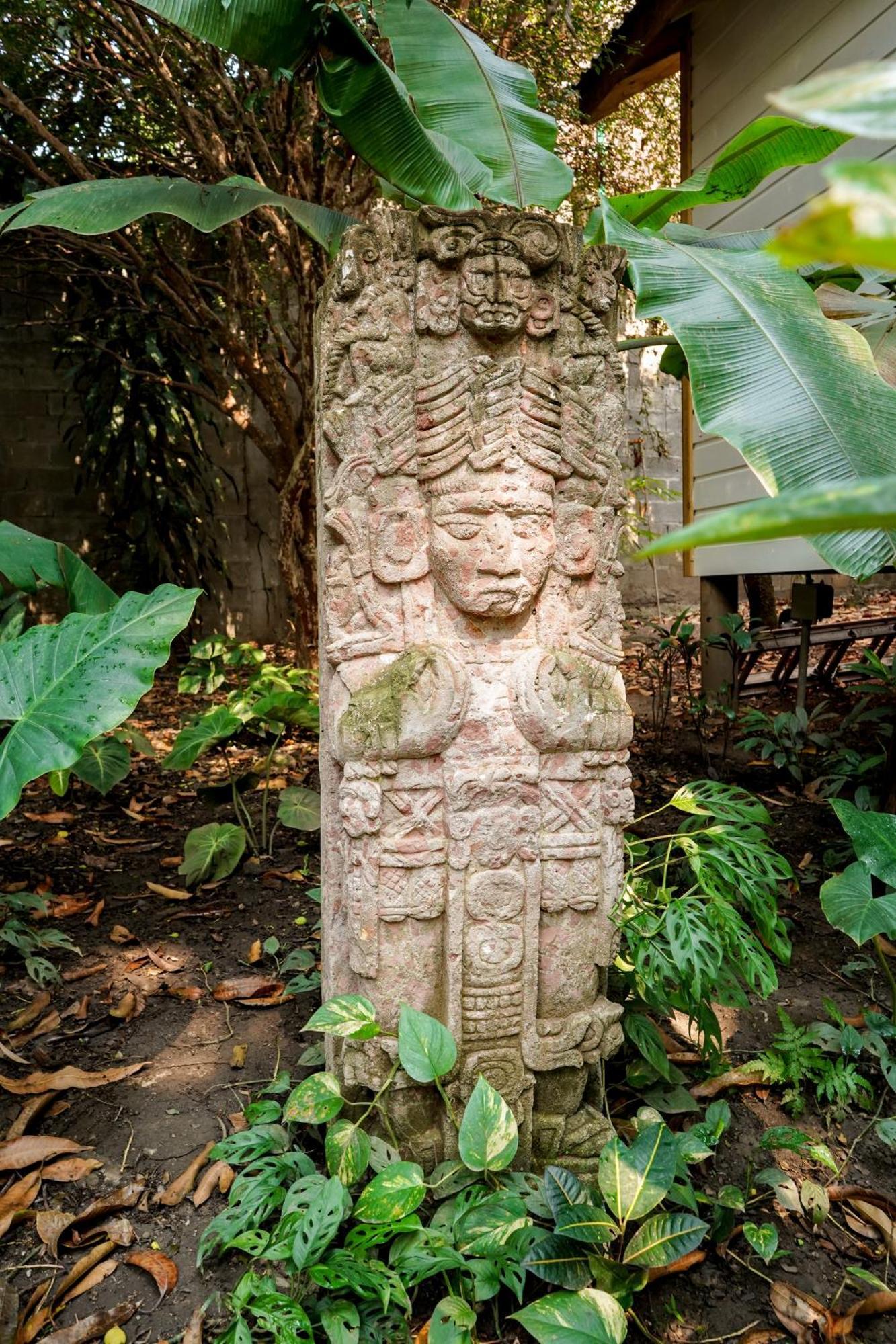 Angeli Gardens Boutique Hotel San Pedro Sula Exteriér fotografie